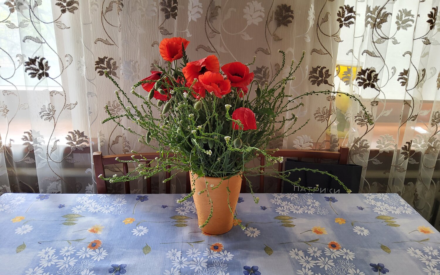 Photo #13861392