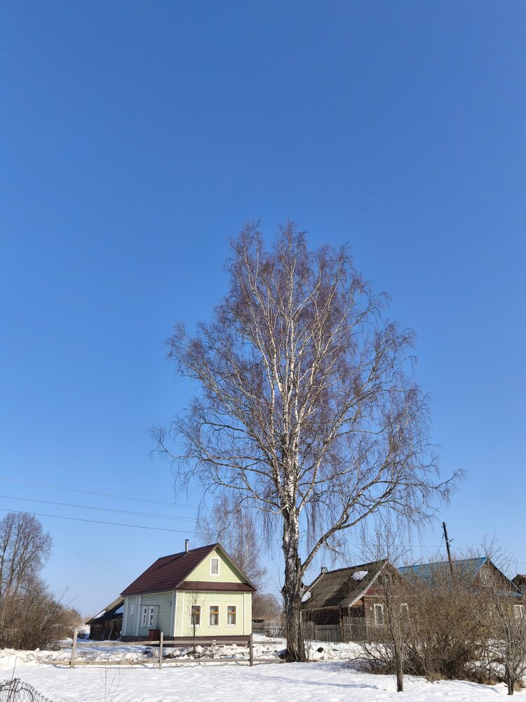 Photo #13861473