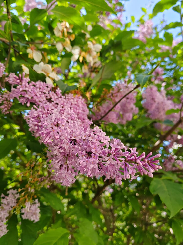 Photograph by Оксана Лобанова