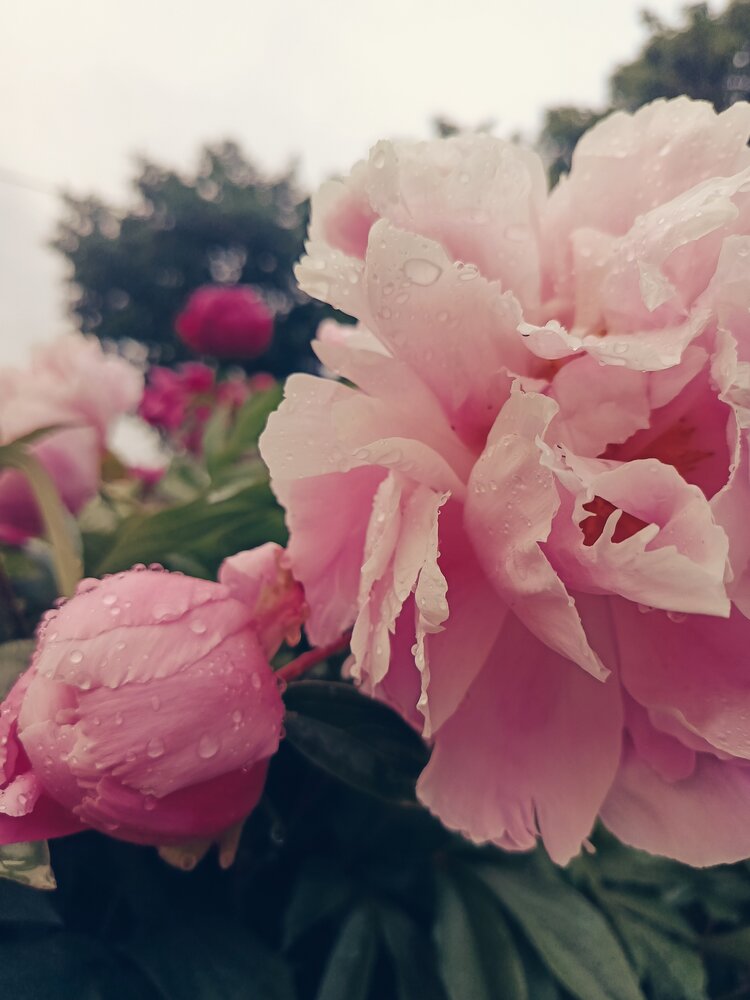 Photograph by Ольга Рубцова