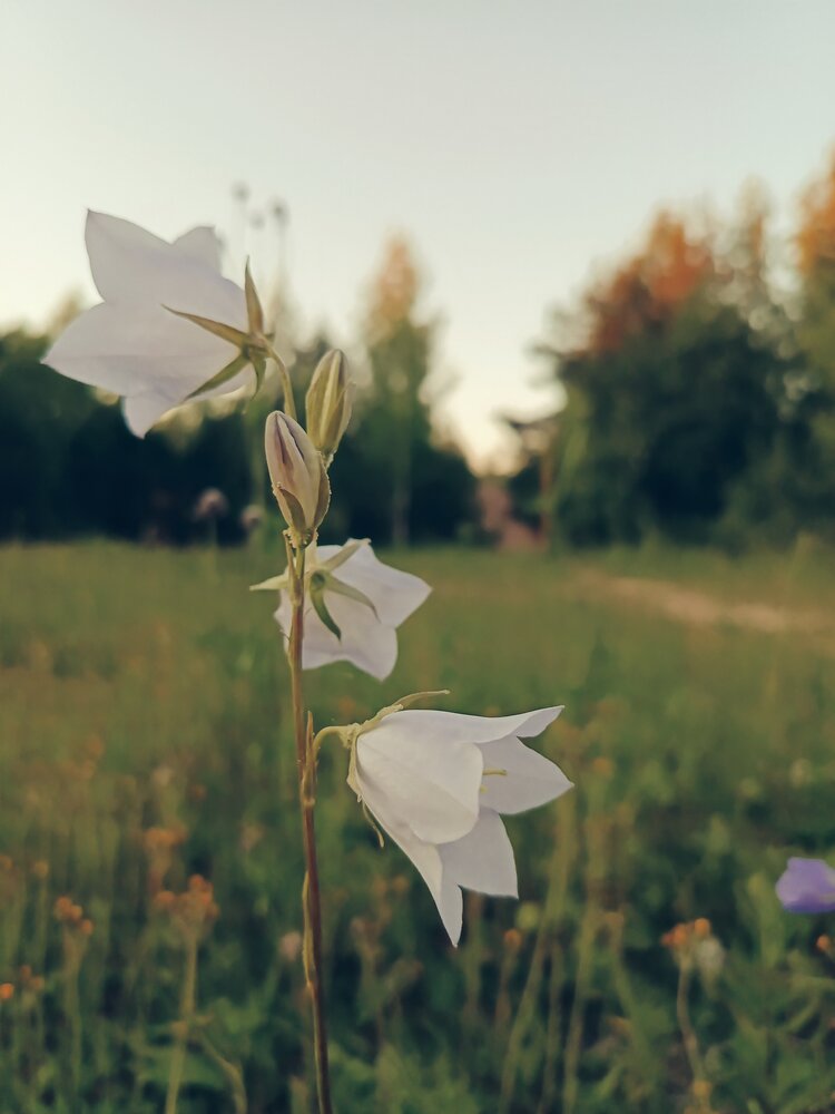 Photograph by Ольга Рубцова