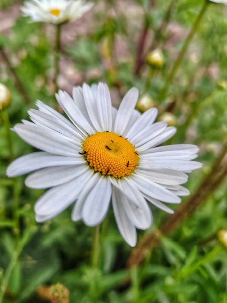 Photograph by Оксана Лобанова