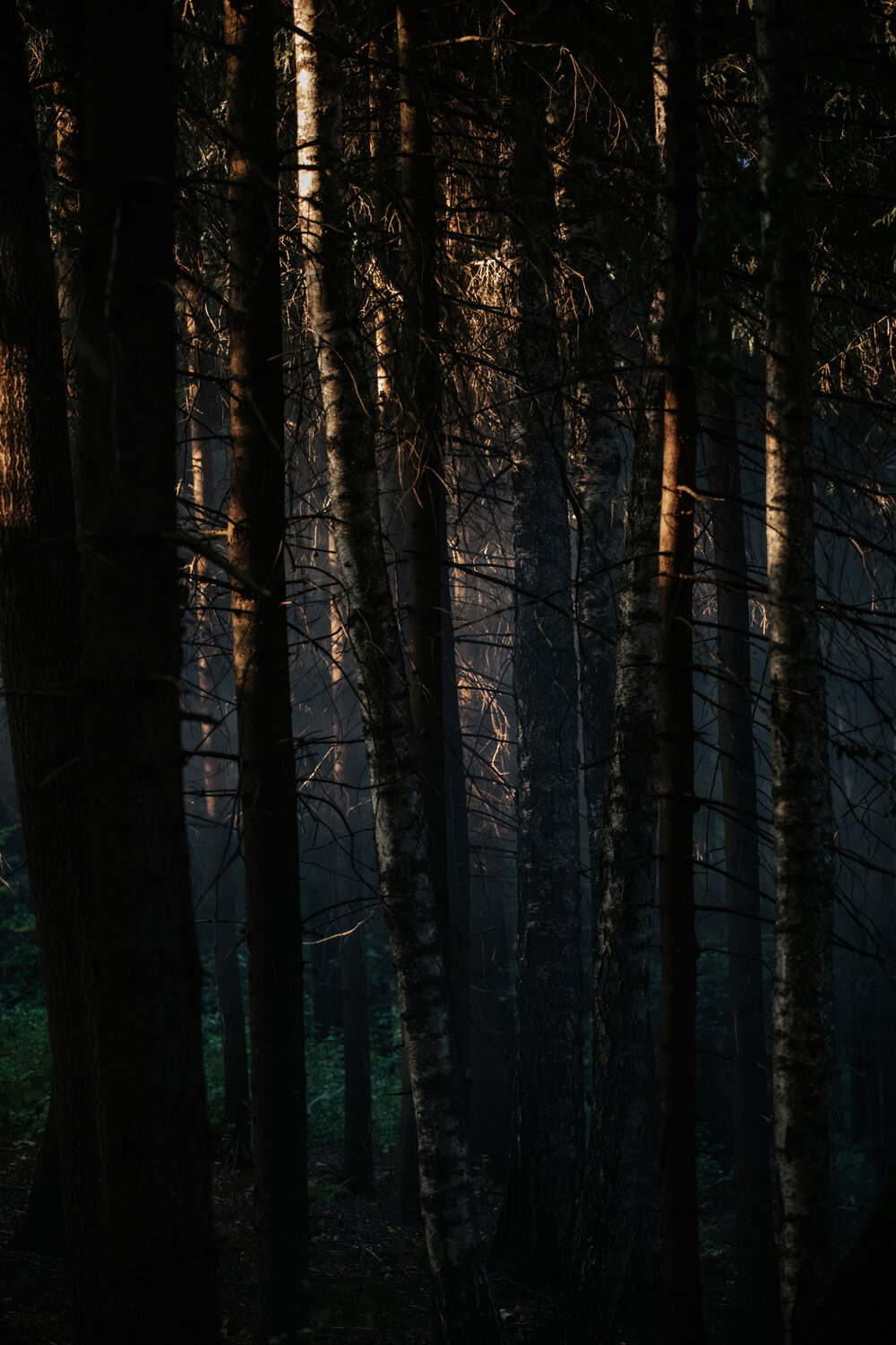 Photo #13861526