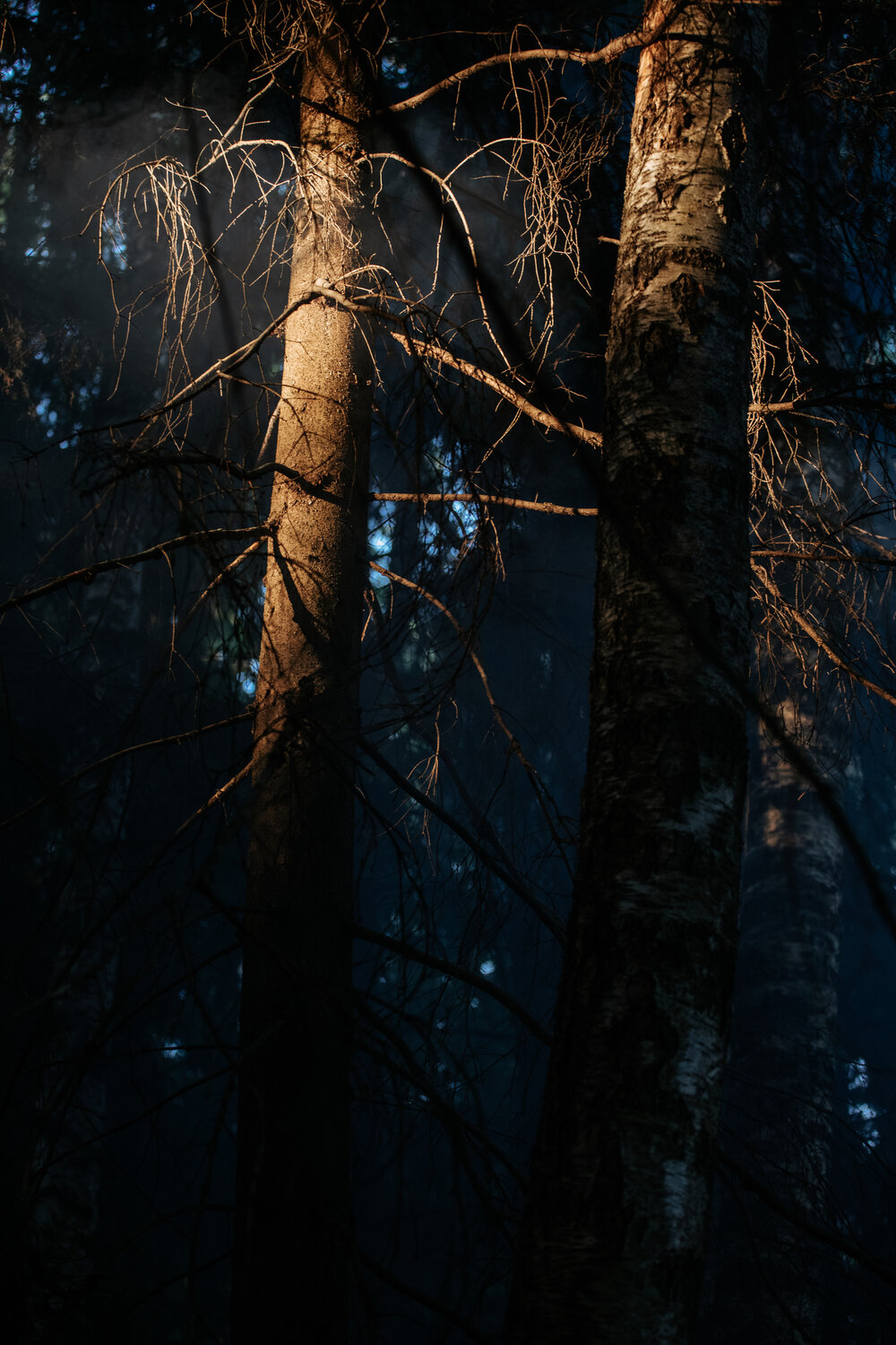 Photo #13861530