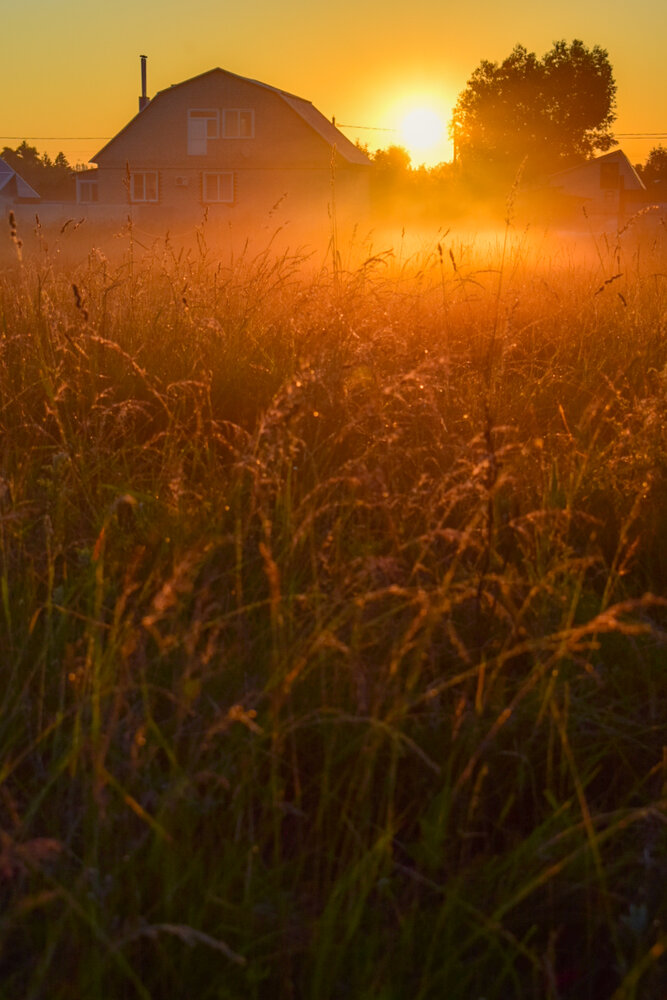 Photograph by Оксана Вадалагина