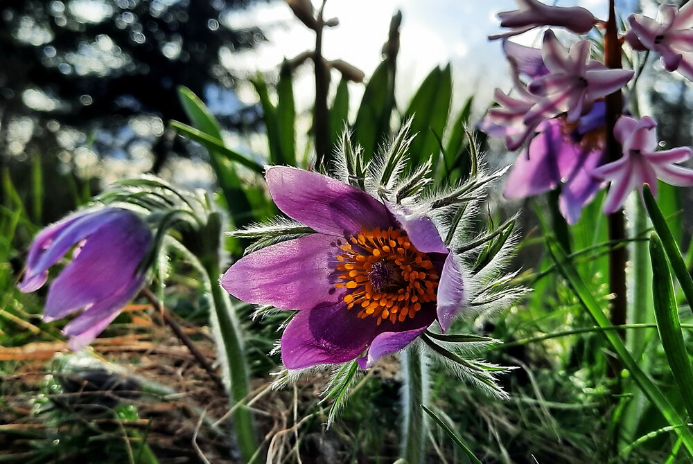 Photograph by Александр Лазебник
