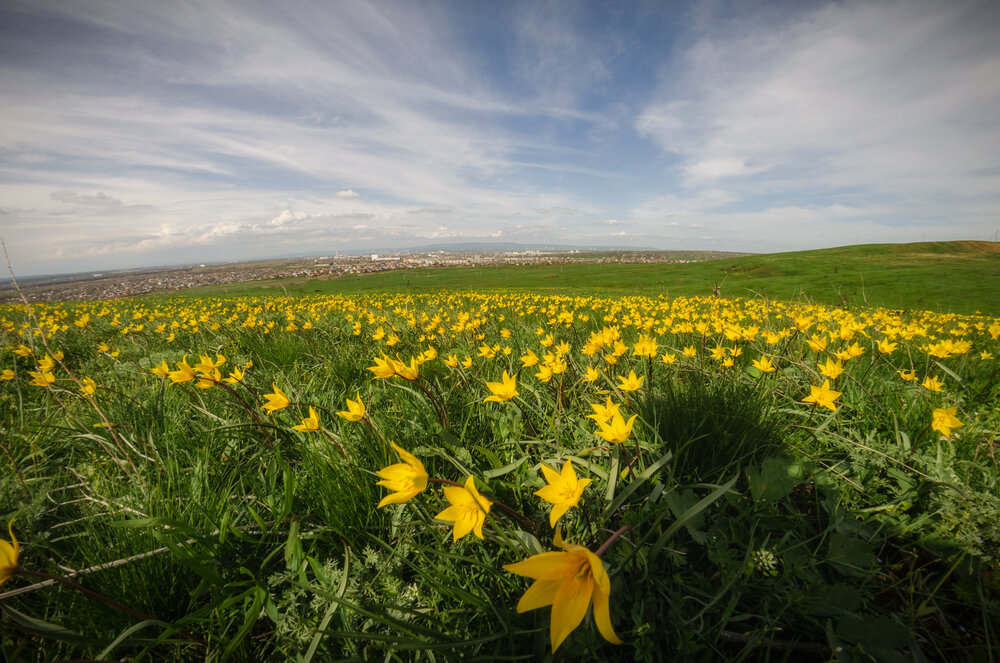 Photograph by Иван Достовалов