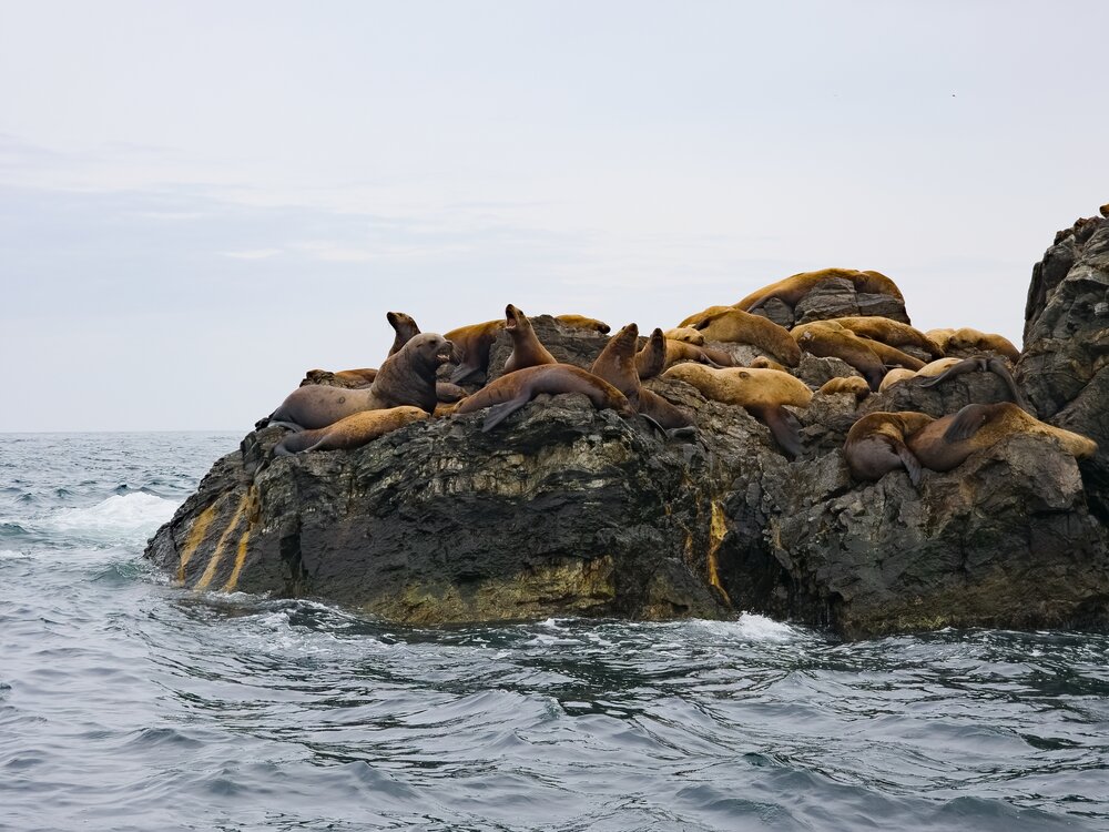 Photograph by Елена Харитонова