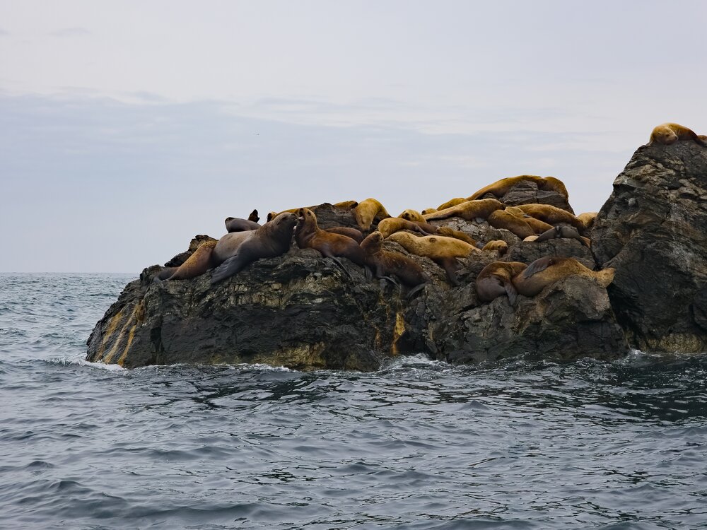 Photograph by Елена Харитонова