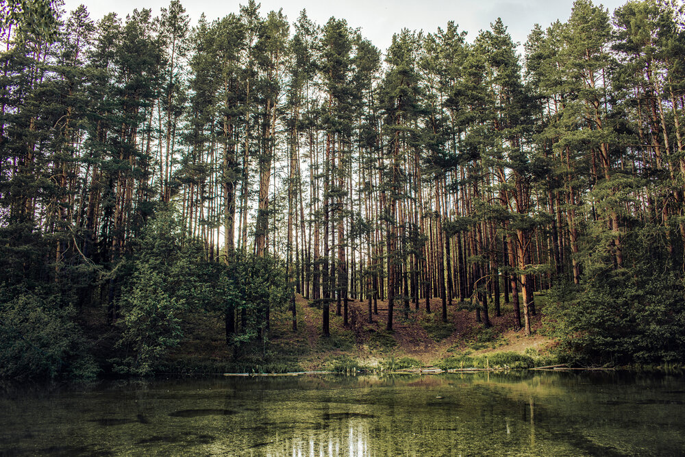 Photograph by Альфия Агзами