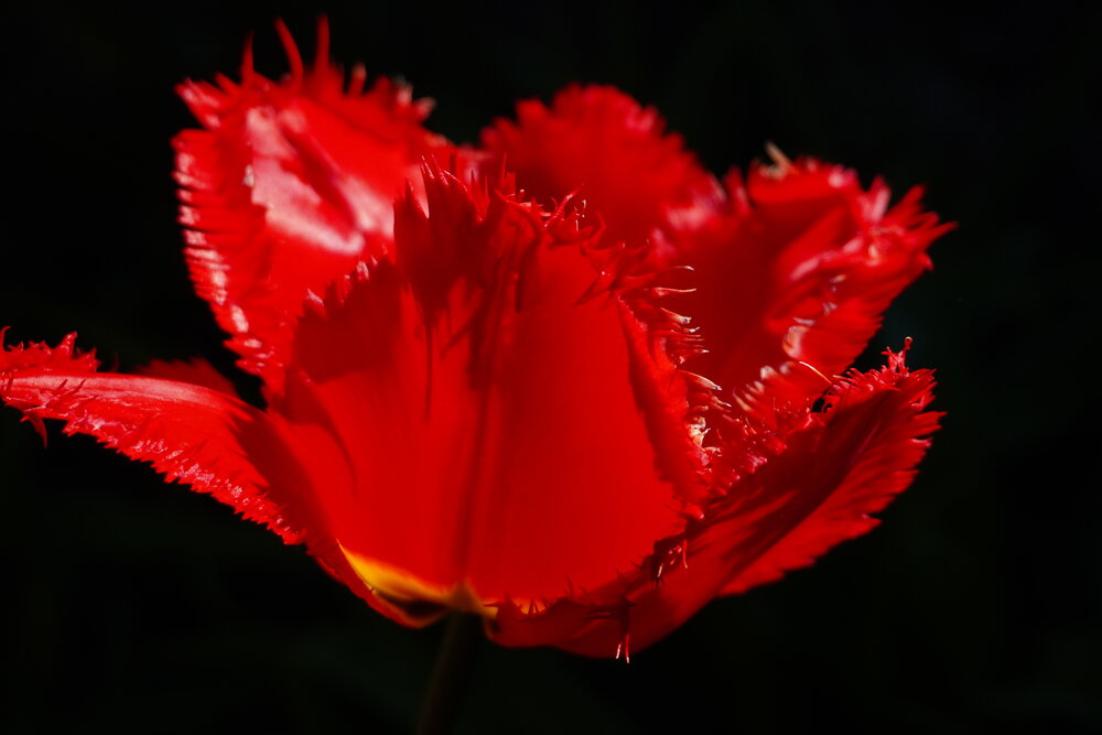 Photograph by Galya Zhdanova