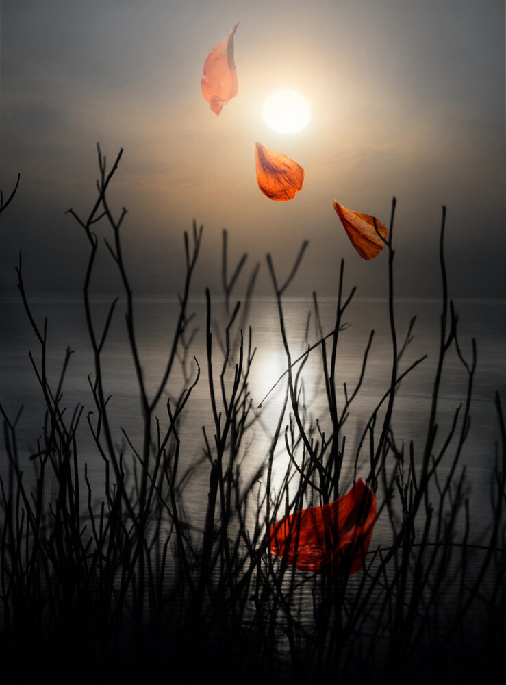 Photograph by Olga Schmidt