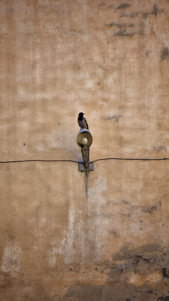 Photograph by Elina Nersesova