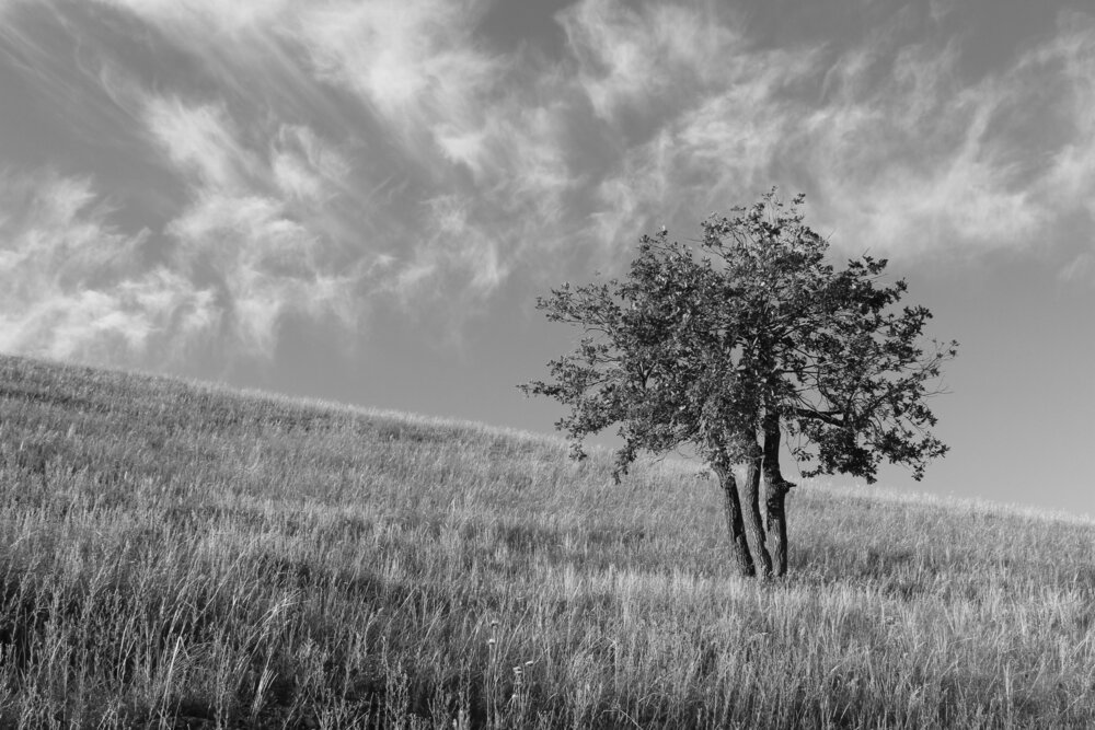 Photograph by Andrey Yumashev