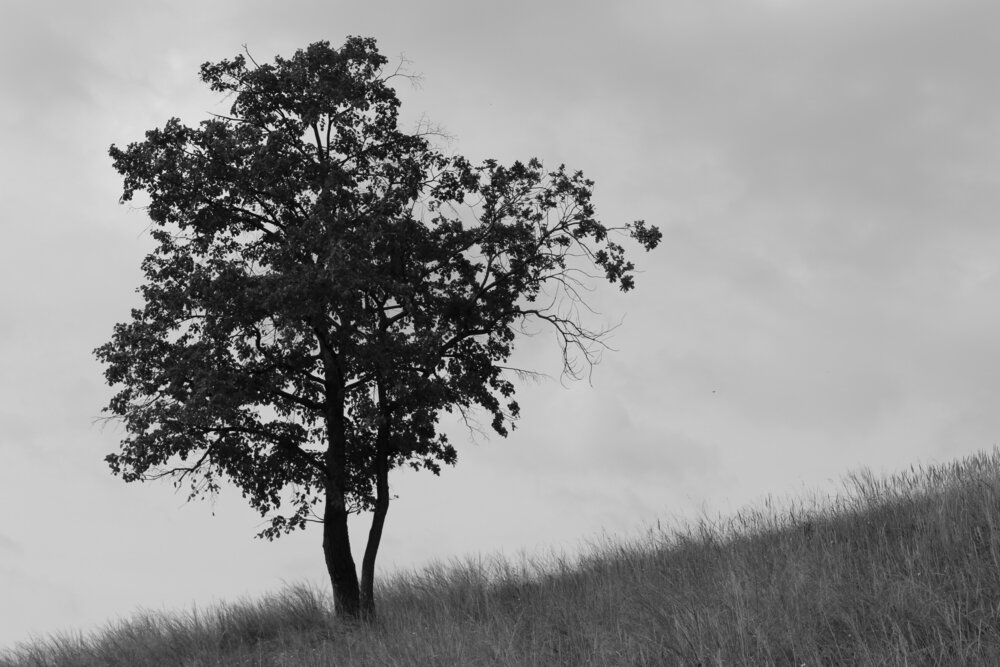 Photograph by Andrey Yumashev