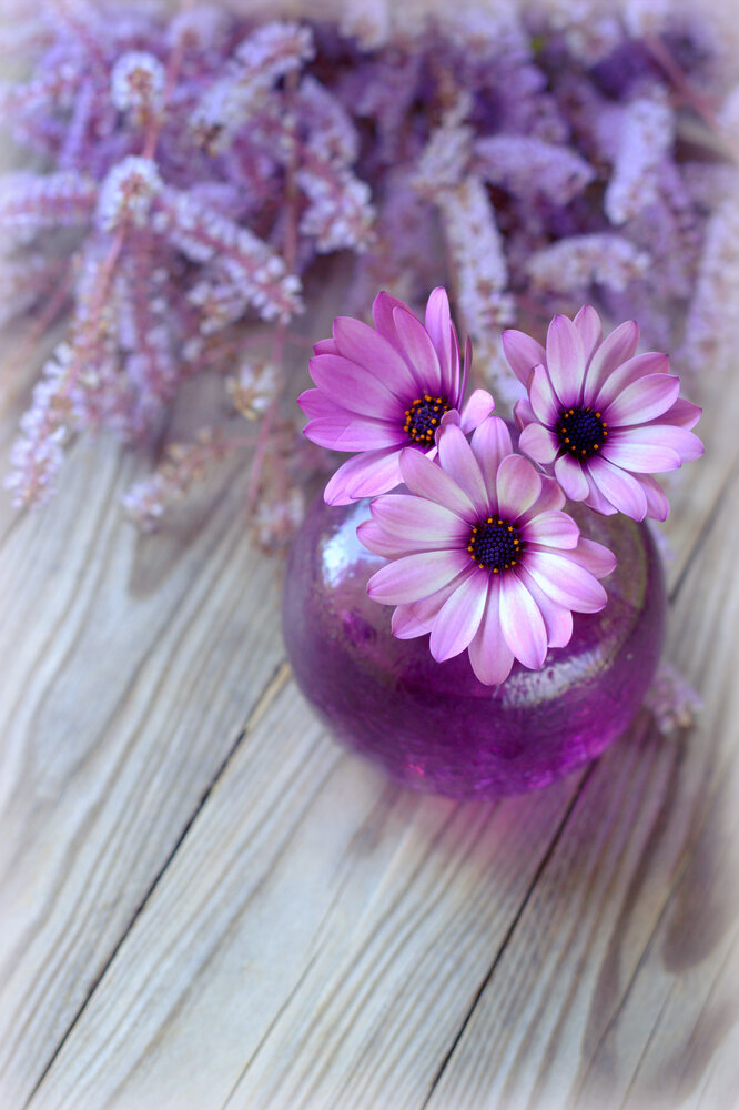Photograph by Yulia Terentieva