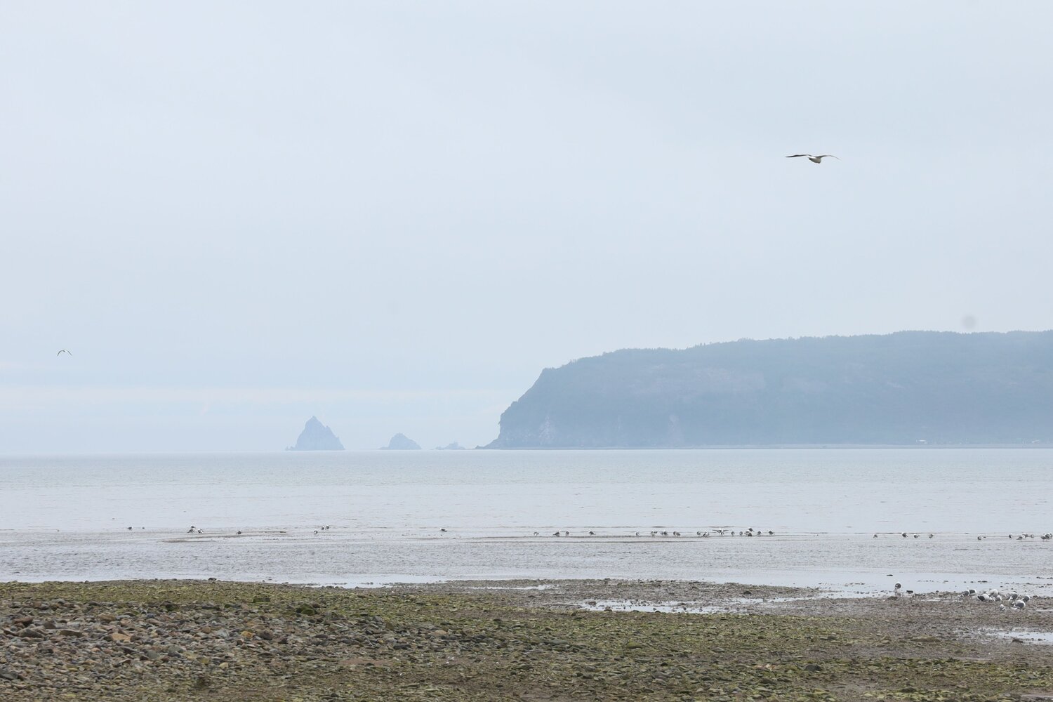 Photo #13861725