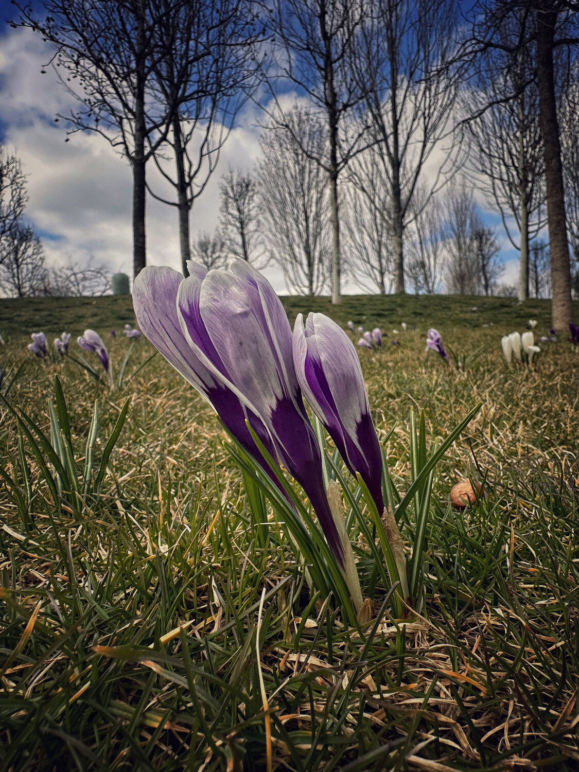 Photo #13861742