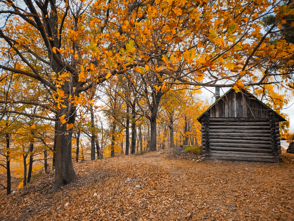 Photograph by Konstantin Martynov