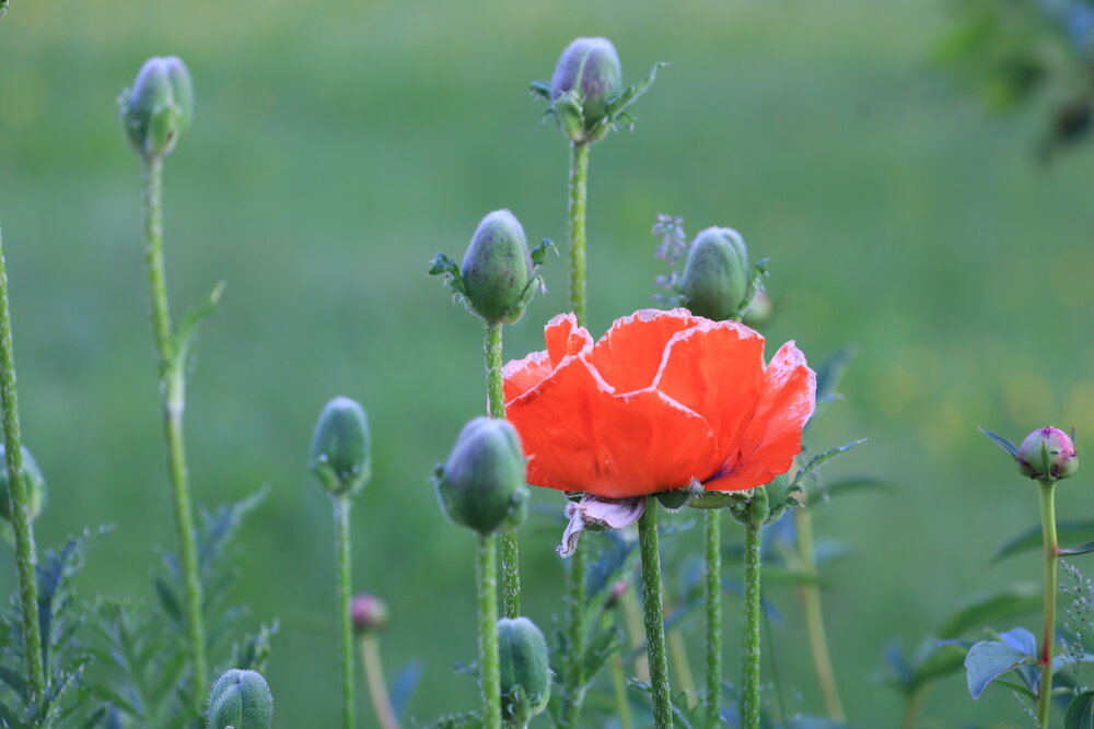 Photograph by Одаренко Ольга