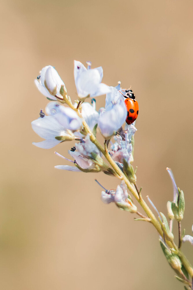 Photograph by Кучеренко Анастасия
