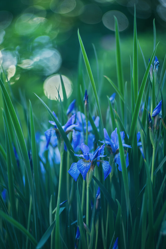 Photograph by Алексей Широбоков