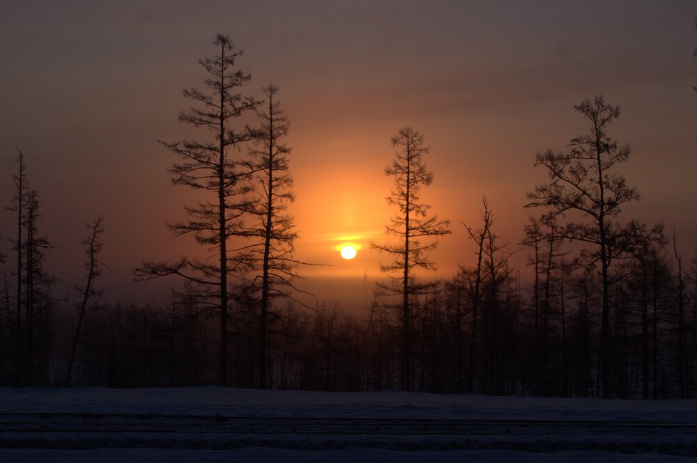 Photograph by Михаил Мархинин