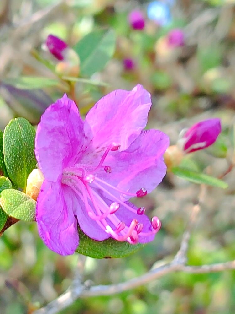 Photograph by Юлия Холомцева