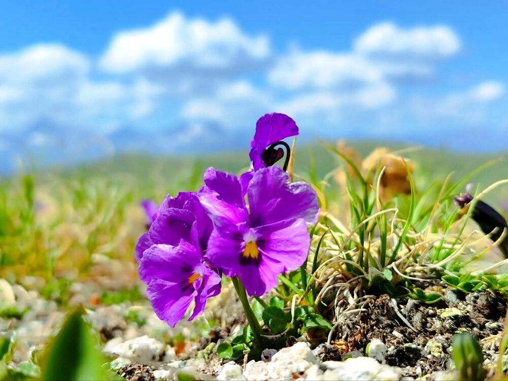 Photograph by Юлия Холомцева