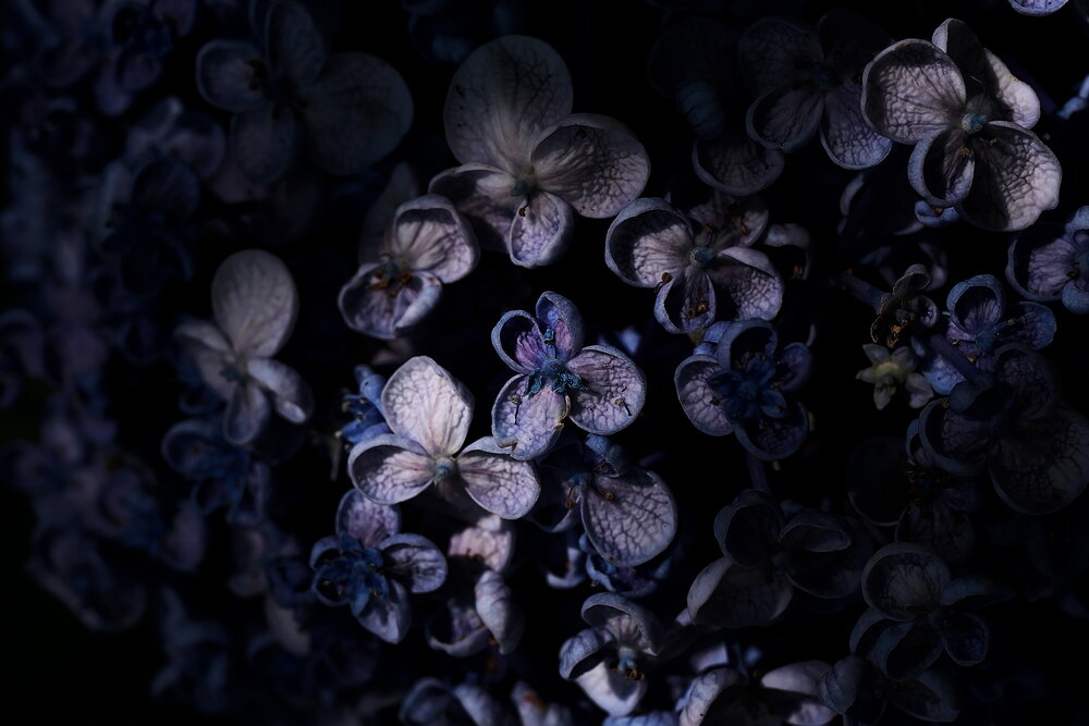 Фотография автора Ikuta Hidenori