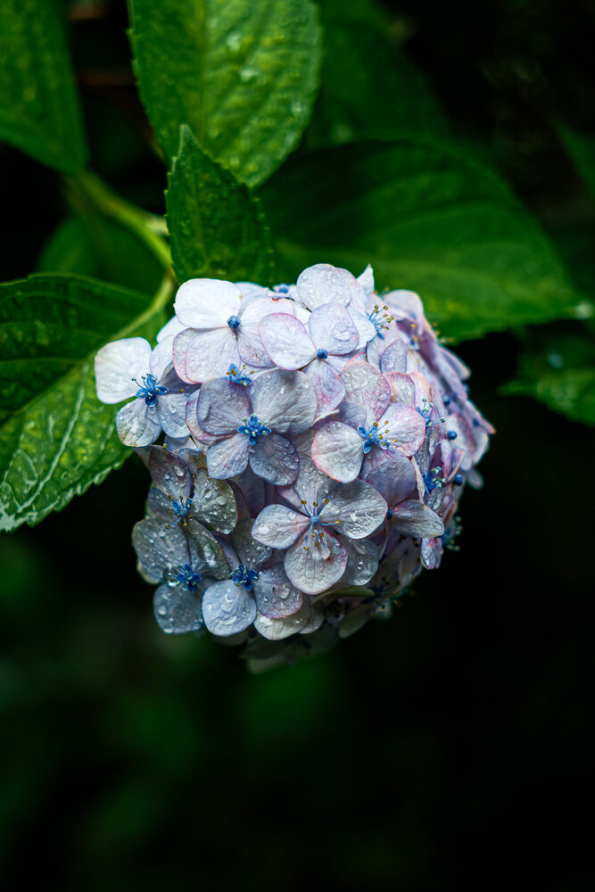 Photograph by y tanco