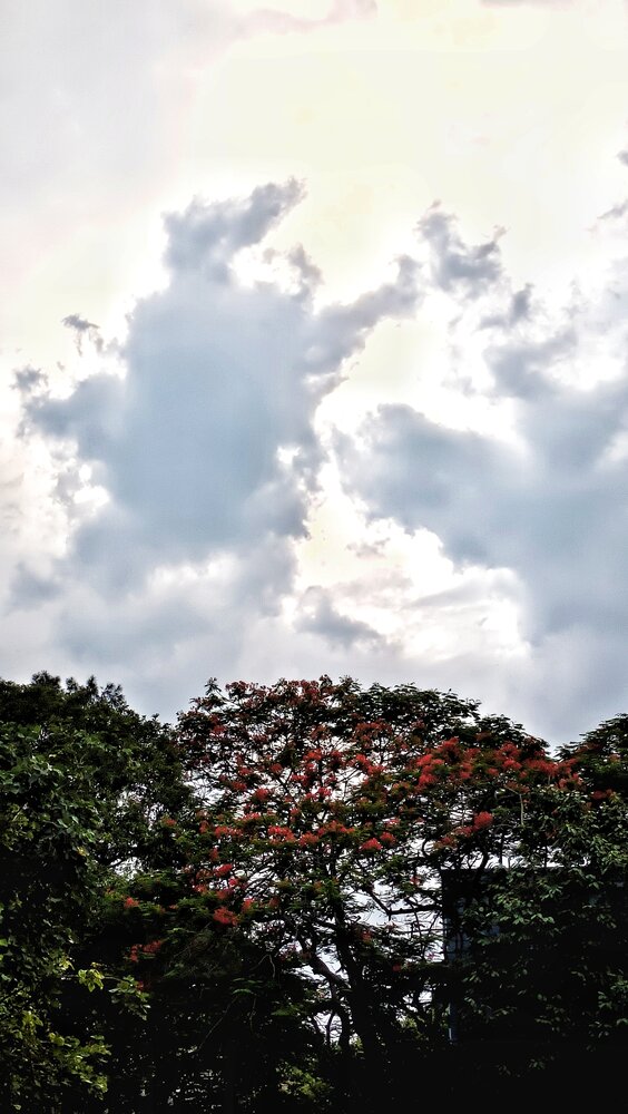 Photograph by Priyanbada Sarkar