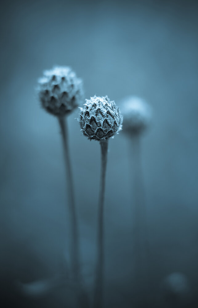Photograph by Вениамин Скородумов