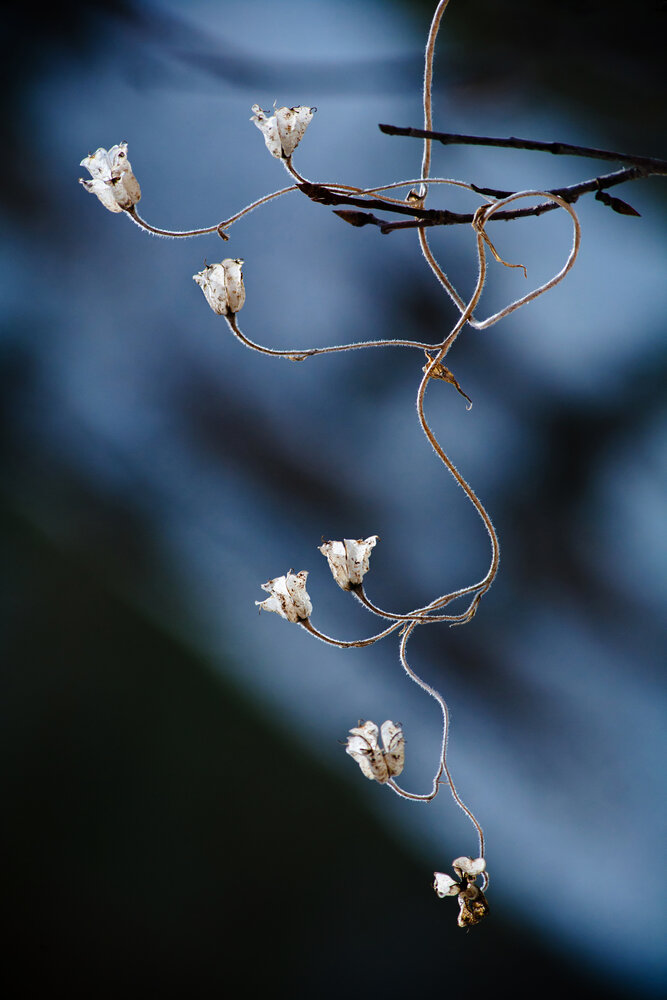 Photograph by Вениамин Скородумов