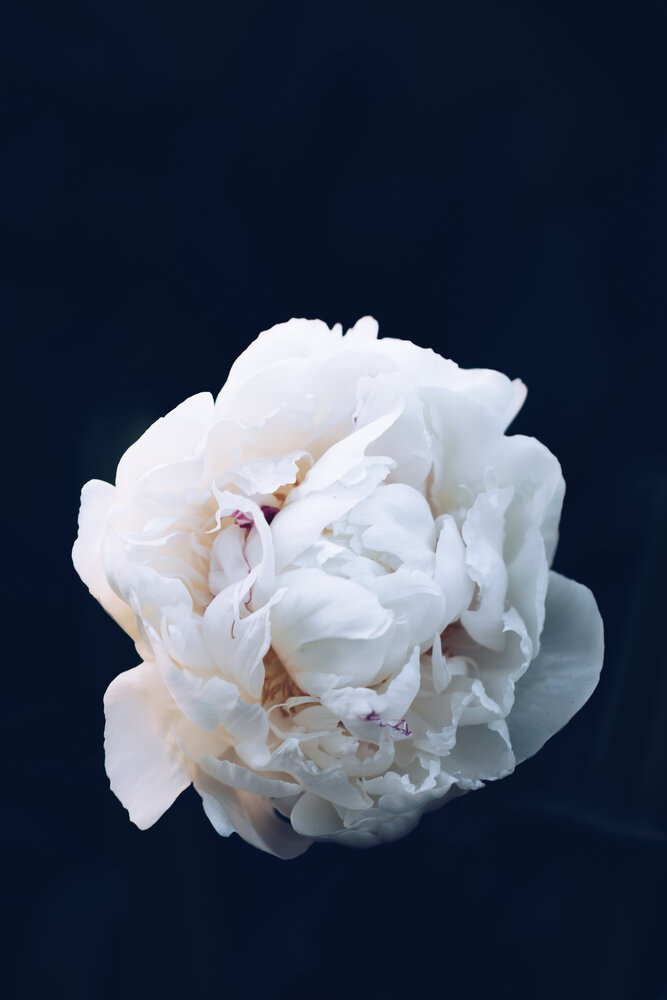 Photograph by Max