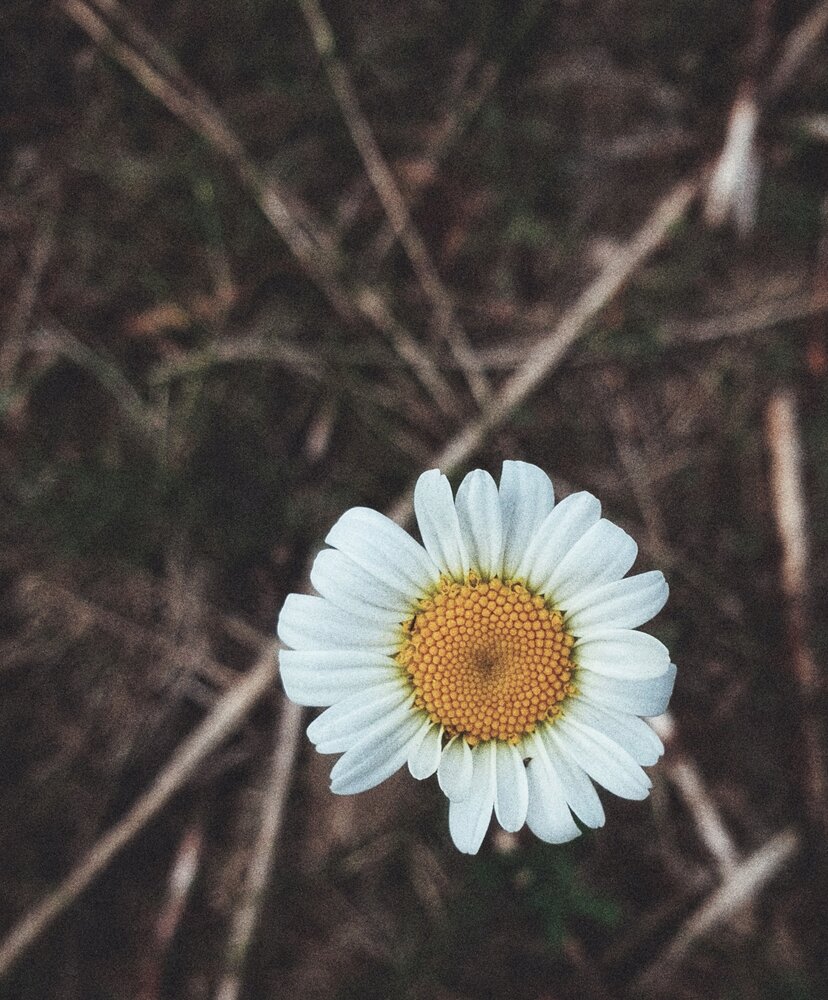 Photograph by артём мякинник