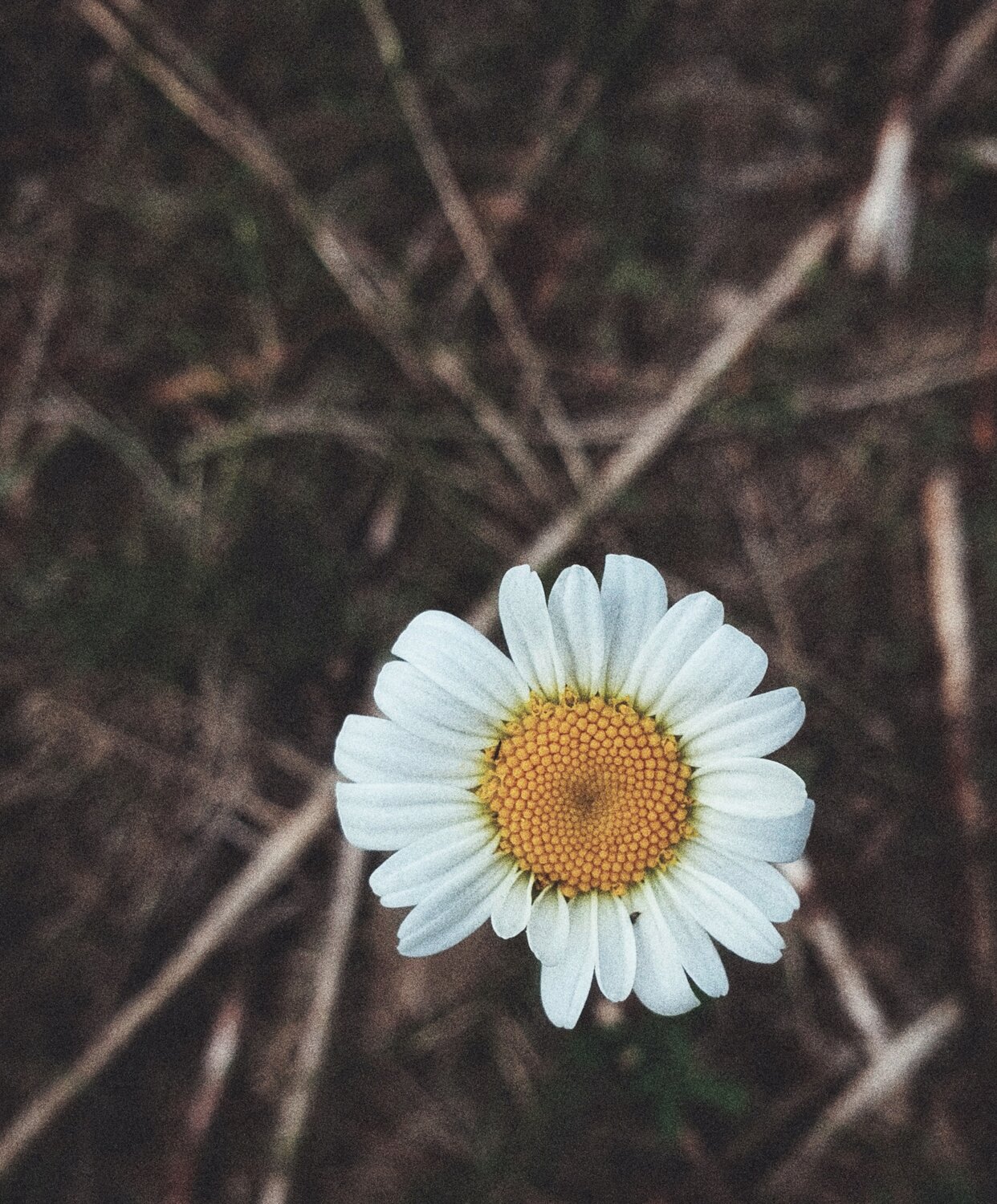 Photo #13862099