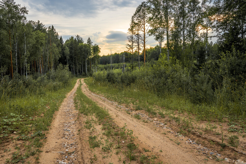 Photograph by Светлана Волкова