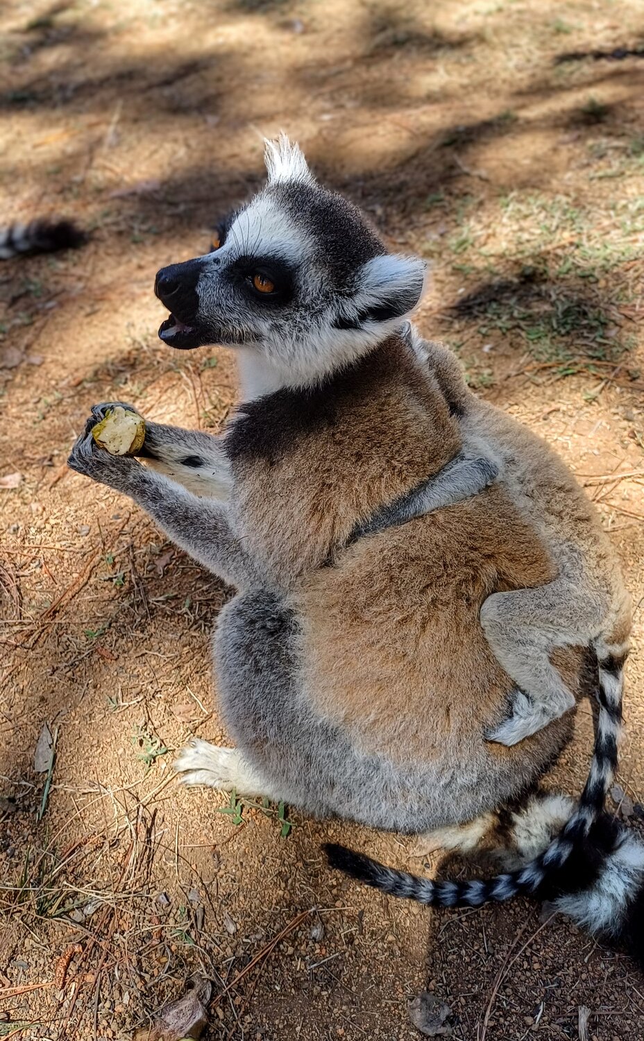 Photo #13862116