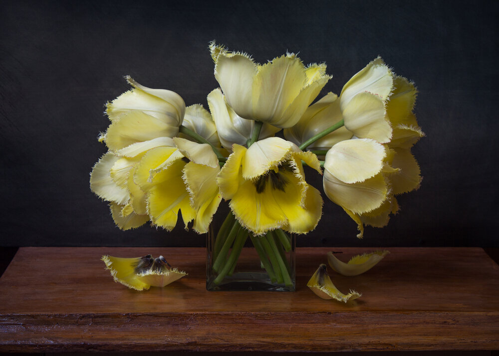 Photograph by Сергей Алексеев