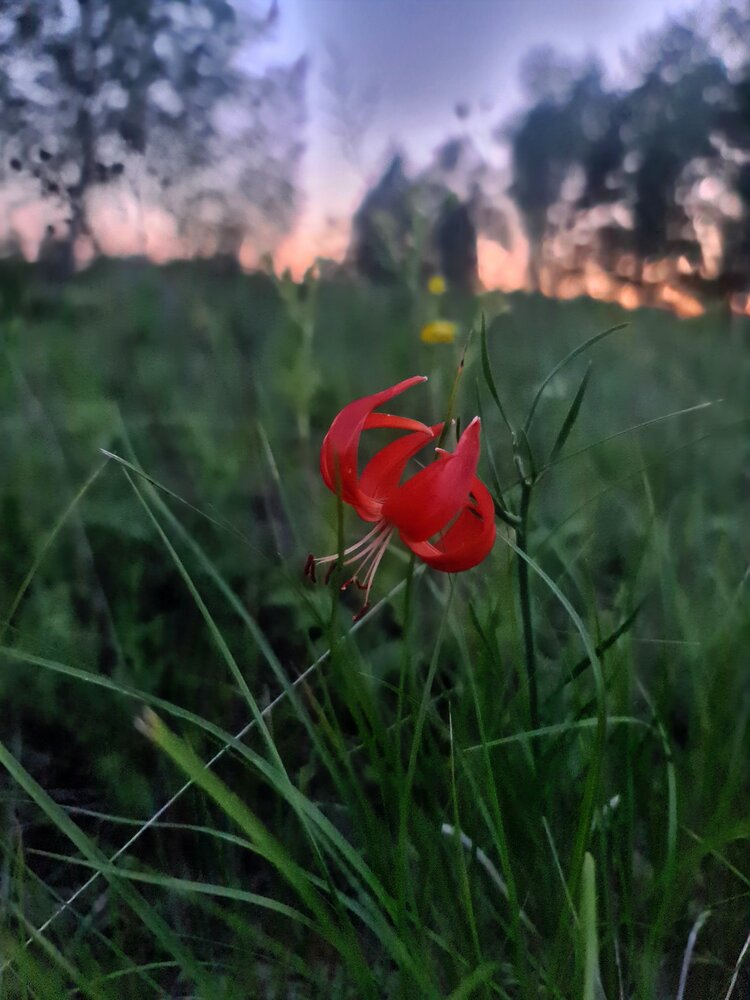 Photograph by Ирина Ранская
