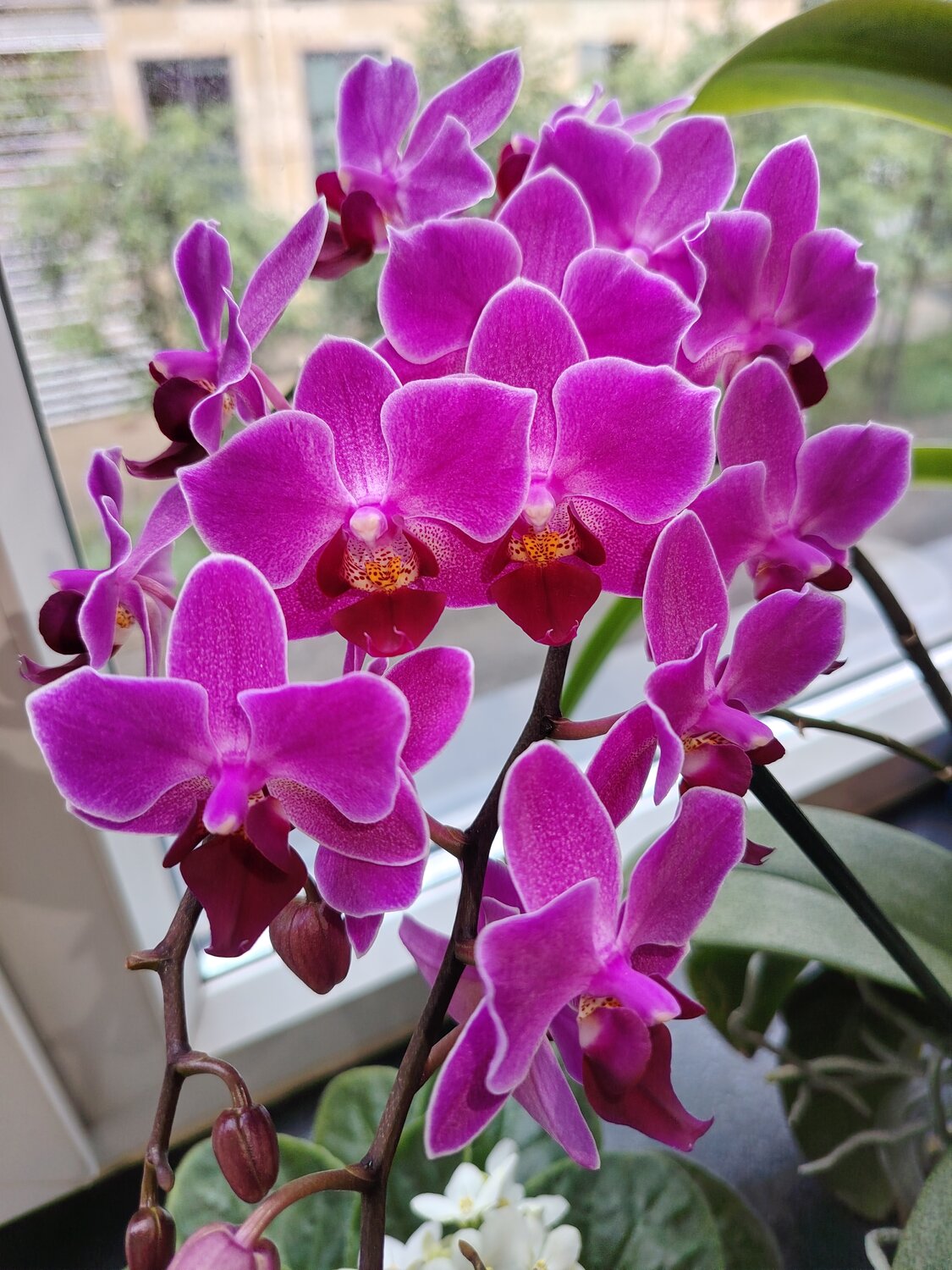 Photo #13862203