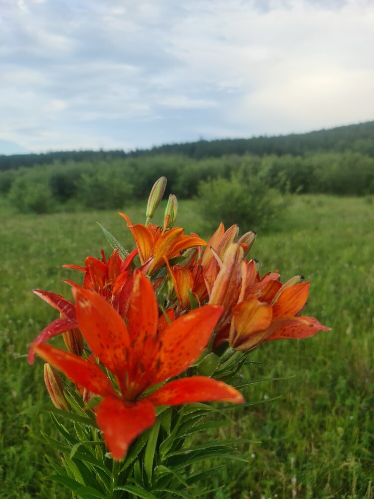 Photograph by Ирина Ранская