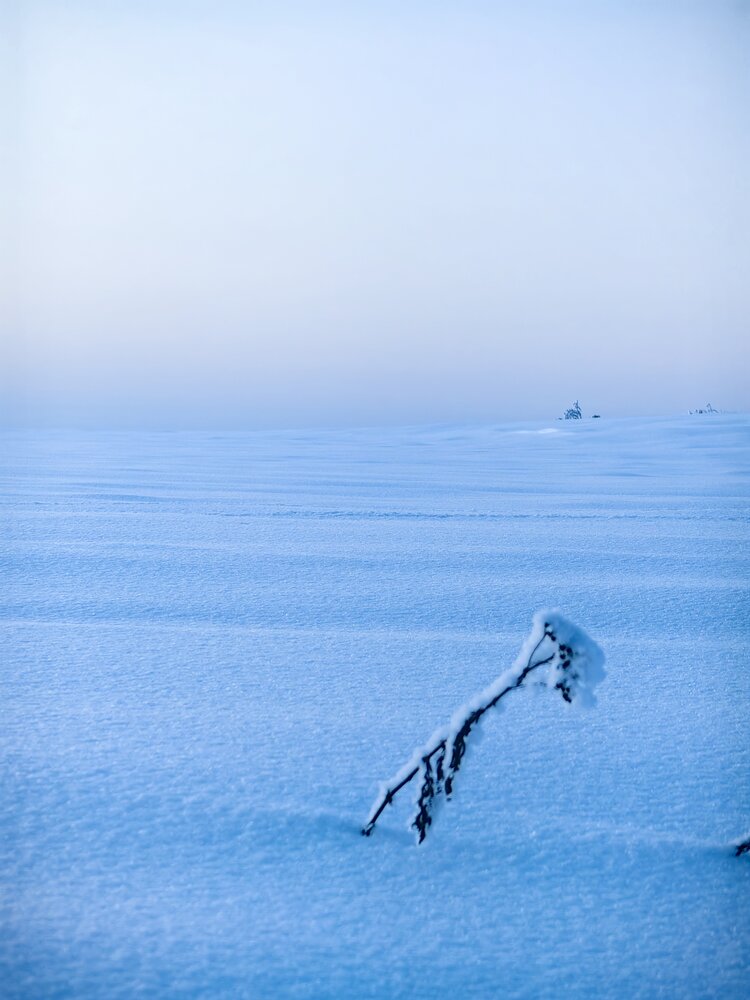 Photograph by Юлия Горелова