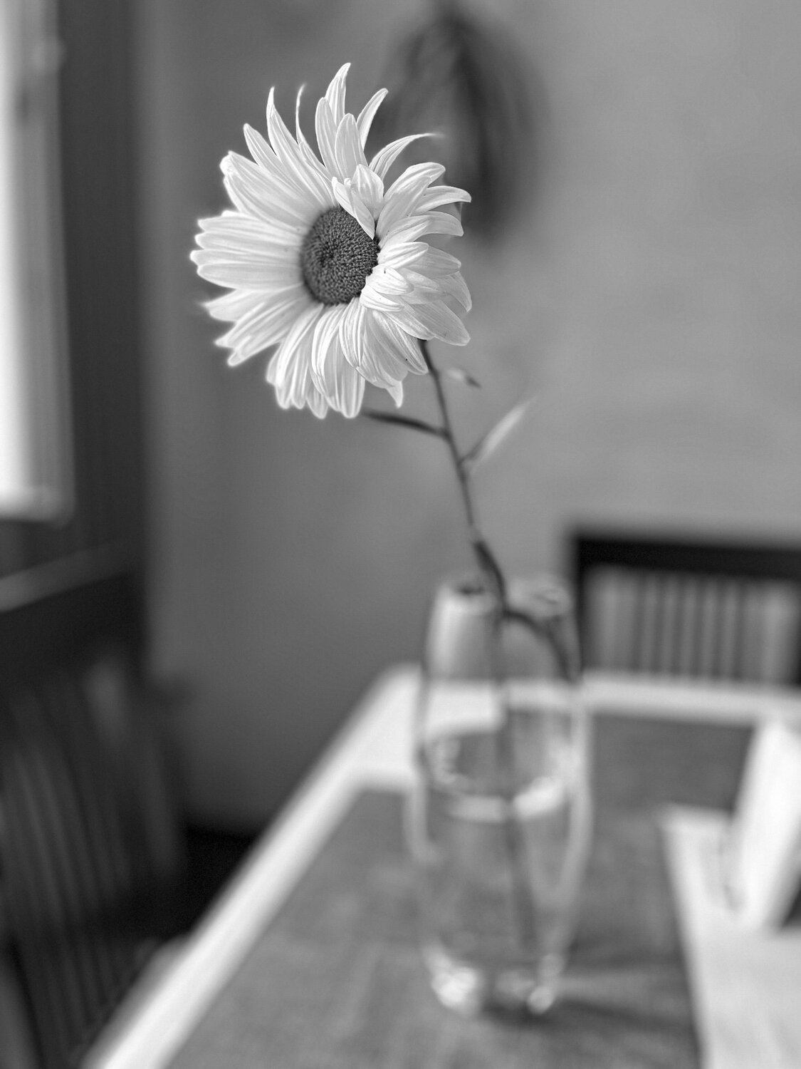 Photo #13862249