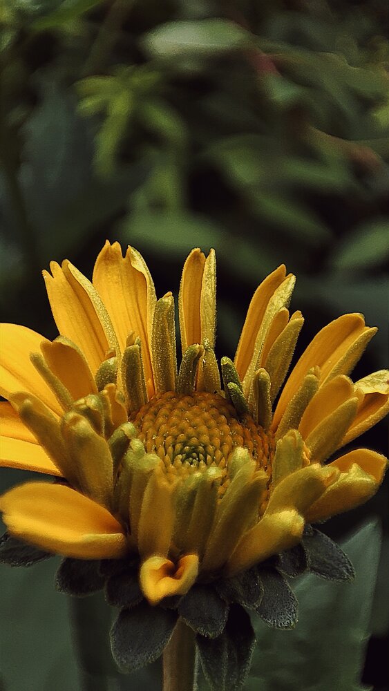 Photograph by Оксана Георгиевна