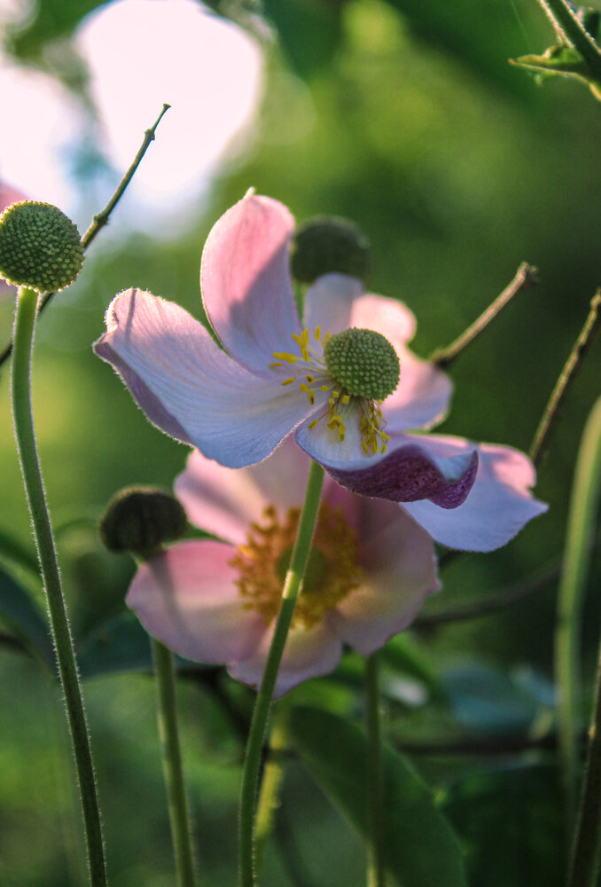 Photograph by Евгения Флиорчук