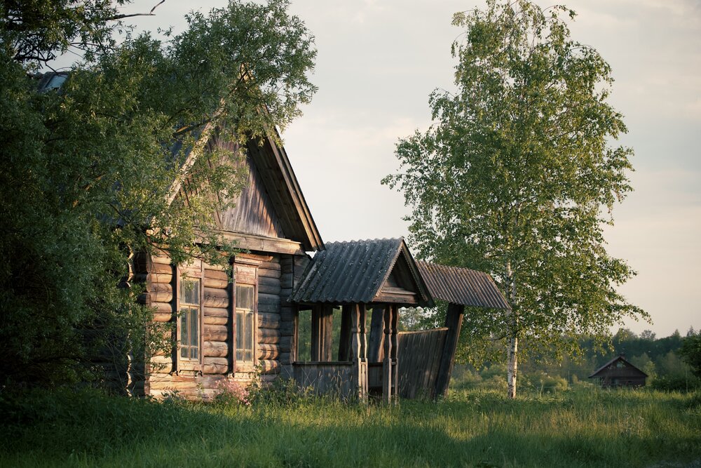 Photograph by Жанна Силаева
