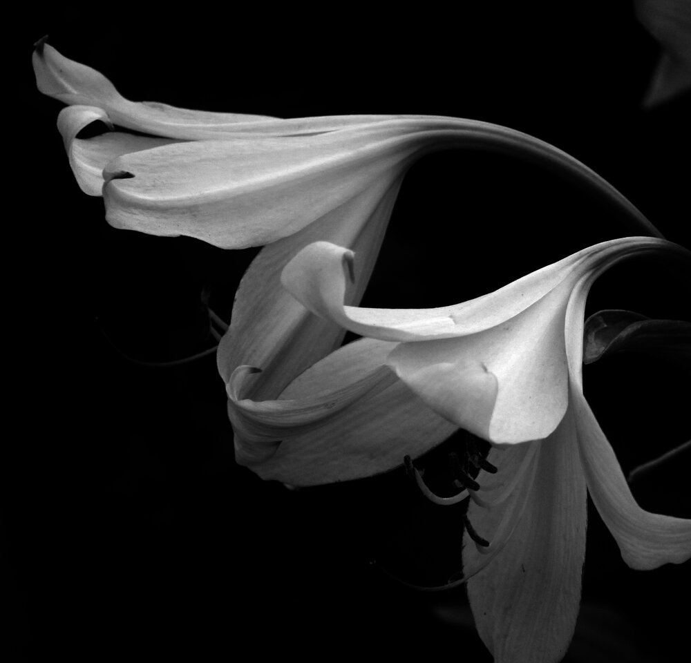 Photograph by Вадим Богданов