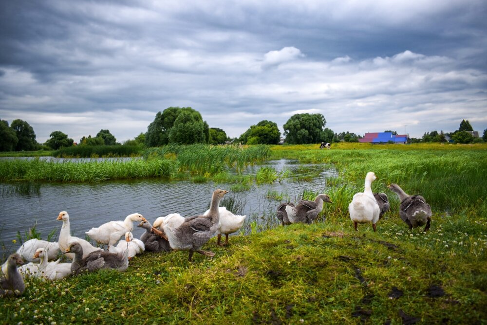 Photograph by Оксана Вадалагина